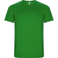 Спортивная футболка IMOLA мужская, ПАПАРОТНИКОВЫЙ 3XL