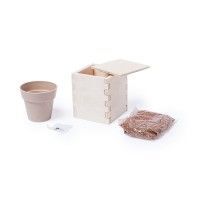 Горшочек для выращивания мяты с семенами (6-8шт) в коробке MERIN, бежевый