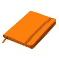 Блокнот SHADY JUNIOR с элементами планирования,  А6, оранжевый, кремовый блок, оранжевый  обрез, оранжевый